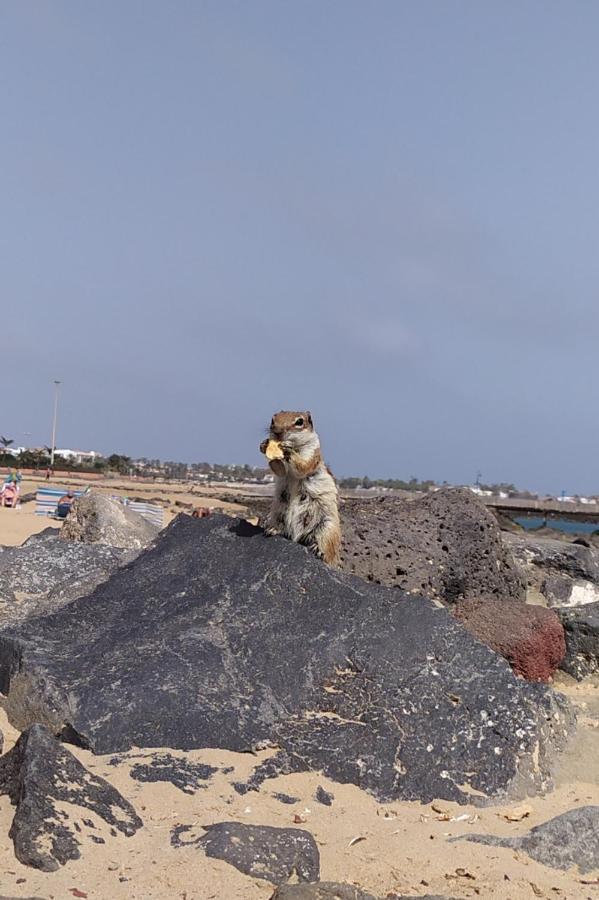 Holiday Rent Fuerteventura Коста-де-Антигуа Экстерьер фото